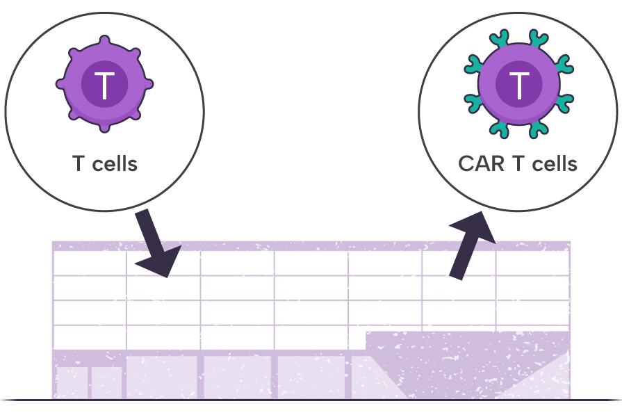 TECARTUS® (brexucabtagene autoleucel) manufacturing center.